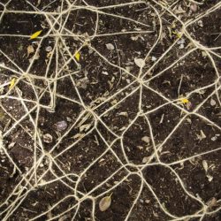 Alisa-and-SonyaKK4A1488small-1024x683