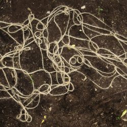 Alisa-and-SonyaKK4A1489small-1024x683