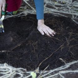 Alisa-and-SonyaKK4A1914small-1024x683