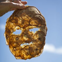 Annette & Karen_KK4A5500_small