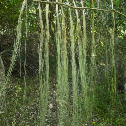 Annette & Karen_KK4A5600_small