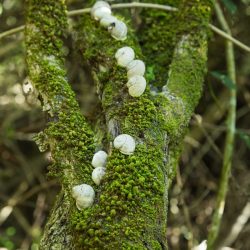 Annette & Karen_KK4A5605_small