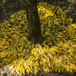 Annette & Karen_KK4A6135_small