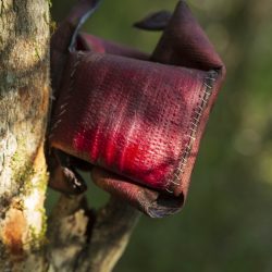 Annette & Karen_KK4A6143_small