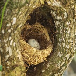 Annette & Karen__MG_1929_small