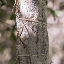 Annette & Karen__MG_1931_small