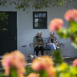 B-roll_KK4A1372-1024x1024