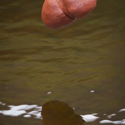 Bronwen-Trupp_KK4A4213