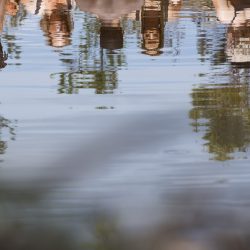 Bronwen-Trupp_KK4A4803