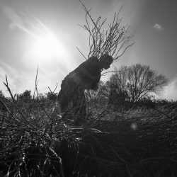 Bronwen-Trupp_KK4A5410