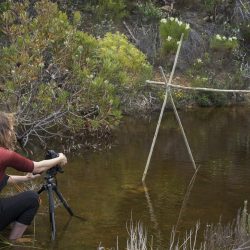 Bronwen-Trupp__MG_8505