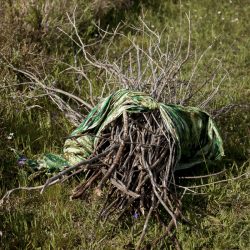 Bronwen-Trupp__MG_8716