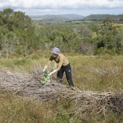 Bronwen-Trupp__MG_8729