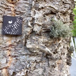 C7447122-AB5F-4D43-9D14-9C0200B19479