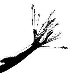 IMG_9403-copy-1024x1024