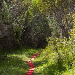 IngaKK4A1654_1-683x1024