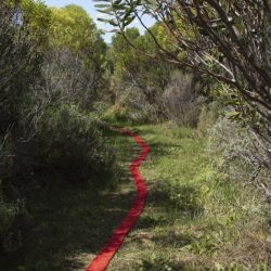 Inga_MG_6266_1-683x1024