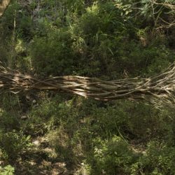 Kim_MG_6190-1024x683