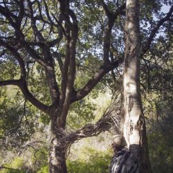 Kim_MG_6312_1-683x1024