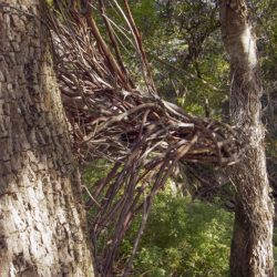 Kim_MG_6316-1024x683 (1)