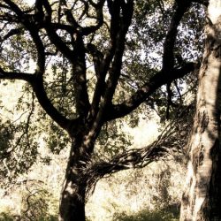 Kim_MG_6325-683x1024