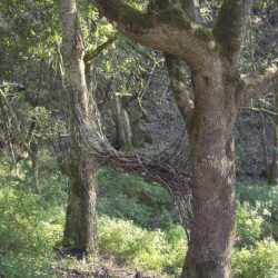 Kim_MG_6346-683x1024