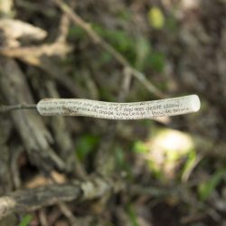 LeliKK4A1701-1024x683