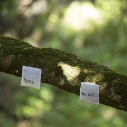 LeliKK4A1713-1024x683