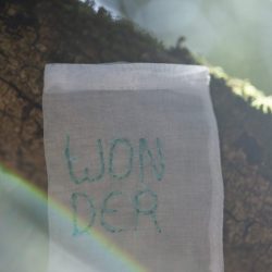 LeliKK4A1729-683x1024