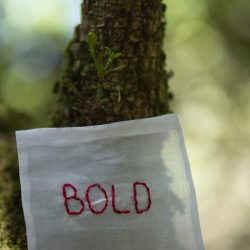 LeliKK4A1746-683x1024