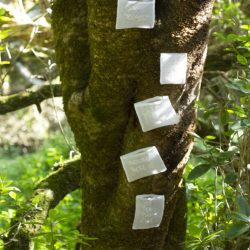 LeliKK4A1760-683x1024