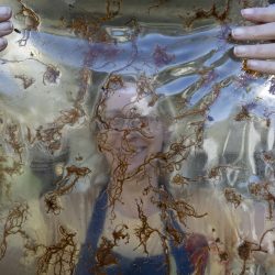 Marisa_By Josie_IMG_5307small