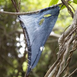 Marisa_By Josie_IMG_6103small