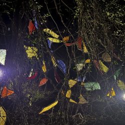 Marisa_IMG_3112small