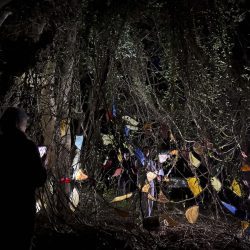 Marisa_IMG_3153small