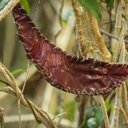 Marisa__MG_1781small