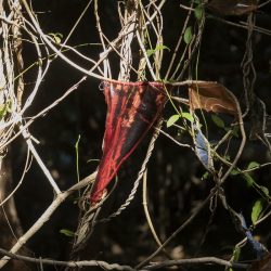 Marisa__MG_1917small