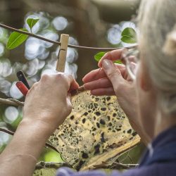 Marisa__MG_1988small