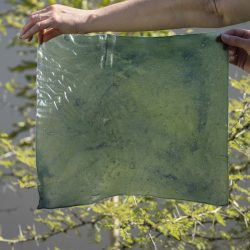 Marisa__MG_2007small