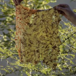 Marisa__MG_2012small