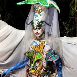 Moth Dance _ Luke Rudman 2025