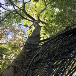 PHOTO-2022-10-04-09-08-04-768x1024