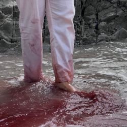 PHOTO-2024-10-10-19-22-15-2