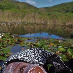 The-eye_resized_20220106_075443081-1024x663