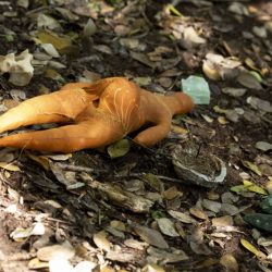 TinaKK4A1817-1024x683