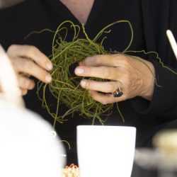 Tina_MG_5743_1-1024x683