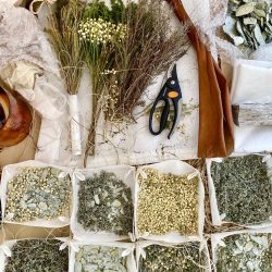 Website_02-2-768x1024