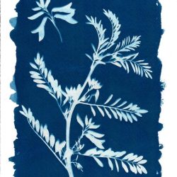 WhatsApp-Image-2022-01-06-at-14.30.32