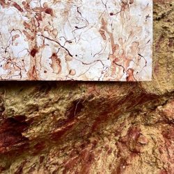 WhatsApp-Image-2024-11-05-at-14.46.54-copy-3-677x1024