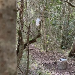 WhatsApp Image 2025-11-12 at 12.43.24